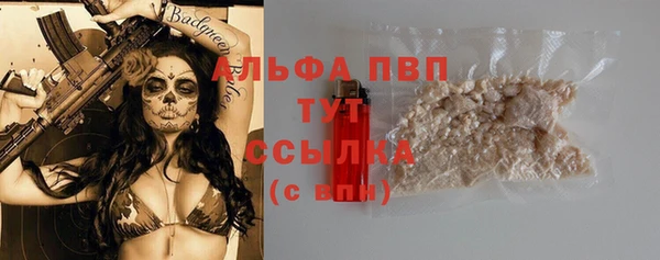 индика Козельск