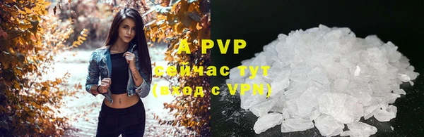 ешки Осташков