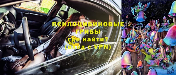 дмт Осинники