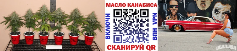 ТГК гашишное масло Кинешма