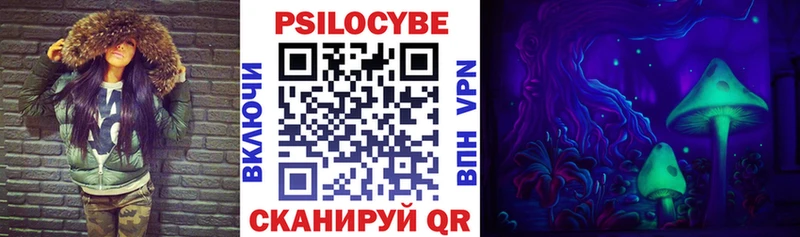 Псилоцибиновые грибы Psilocybe  как найти закладки  Кинешма 