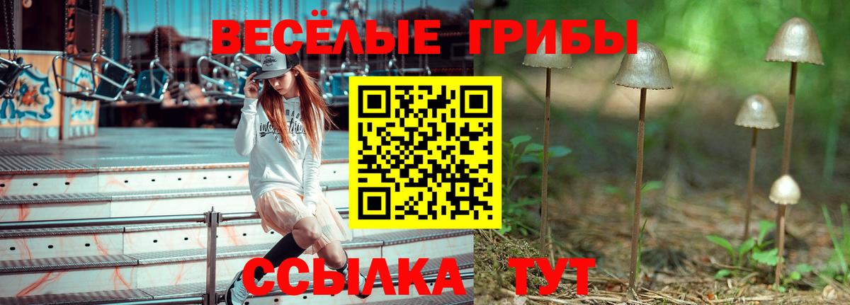 Галлюциногенные грибы мицелий  Псилоцибиновые грибы MAGIC MUSHROOMS  Вход с VPN  Кинешма 