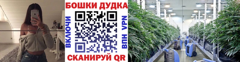МАРИХУАНА планчик  это как зайти  Кинешма  что такое  